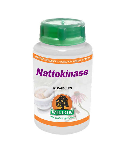 Nattokinase
